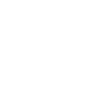 Ellipse 89